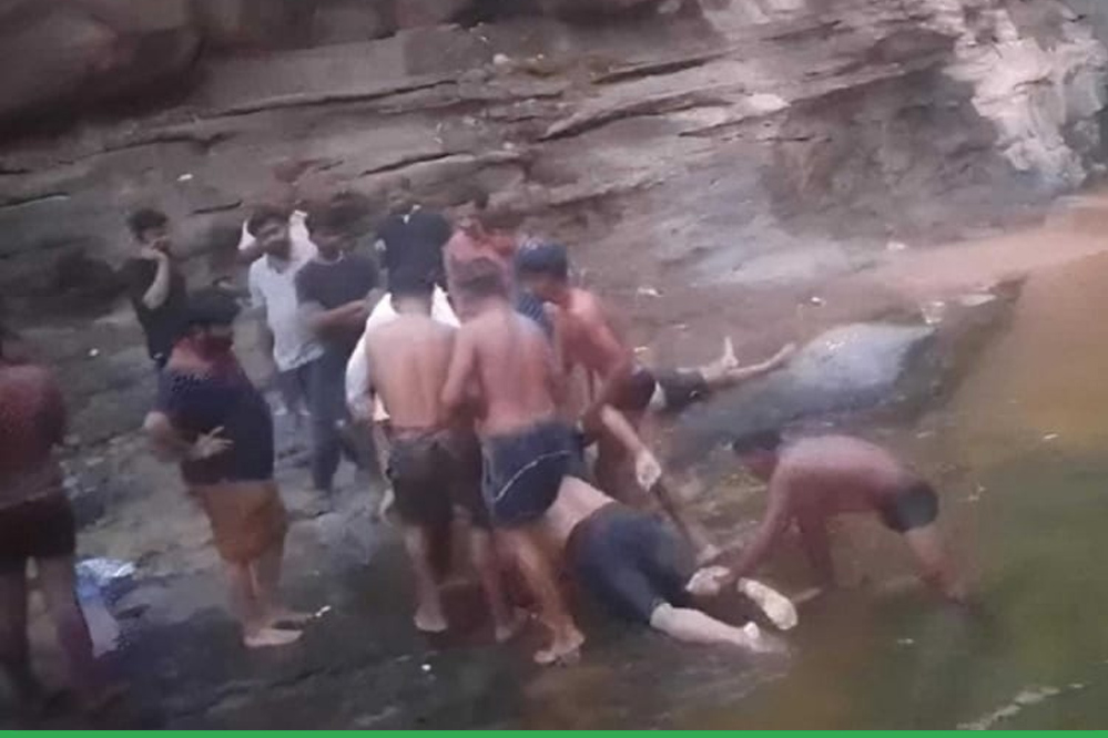 पिकनिक मनाने गए दो एसईसीएल अधिकारियों की डूबने से मौत