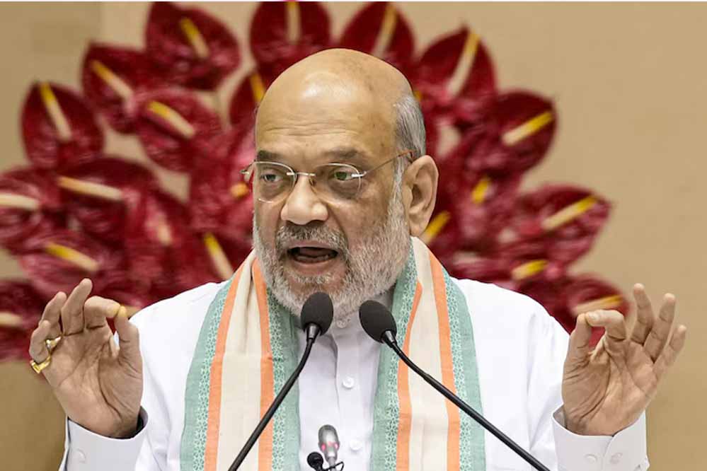 ‘नक्सल प्रभावित जिलों की संख्या 12 से घटकर 6 हुई’ : अमित शाह