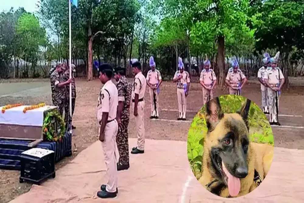 CRPF के लाल ‘रोलो’ ने मधुमक्खियों के हमले में दी शहादत, नक्सली ऑपरेशन में रही महत्वपूर्ण भूमिका