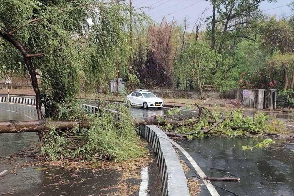 CG के 31जिलों में आंधी-बारिश का अलर्ट, रायगढ़, कोरबा में बिजली गिर सकती है; 3 दिन ऐसा ही मौसम