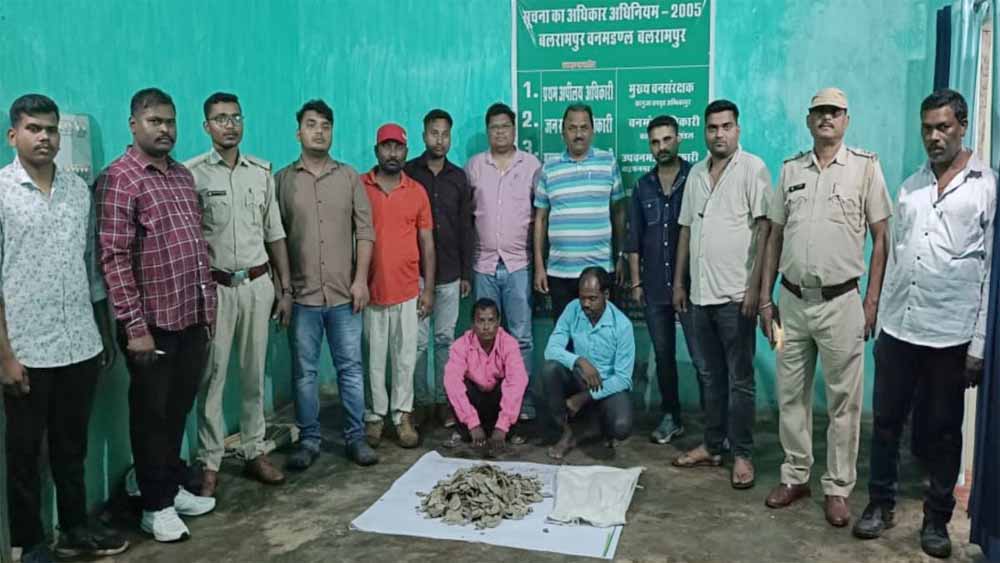 वन विभाग ने पैंगोलिन की 6 किलो स्केल के साथ दो तस्करों को किया गिरफ्तार
