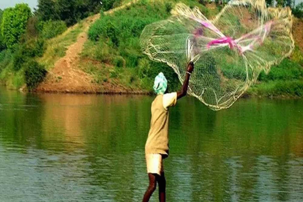 रायपुर : क्लोज सीजन में मत्स्याखेट 15 अगस्त तक पूर्णतः प्रतिबंध