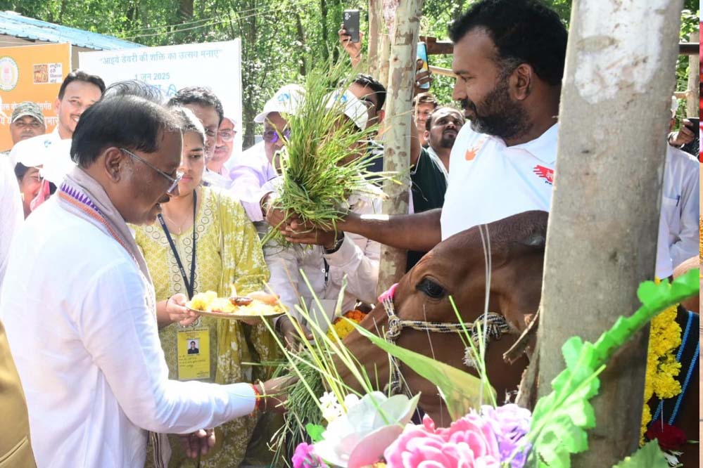 रायपुर : मुख्यमंत्री ने दुधारू पशु प्रदाय योजना का किया शुभारंभ रायपुर : मुख्यमंत्री ने दुधारू पशु प्रदाय योजना का किया शुभारंभ