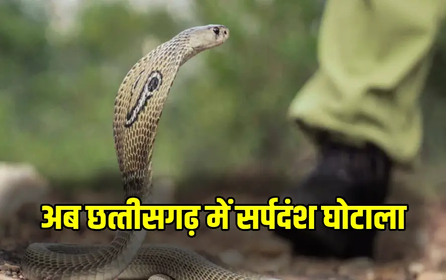 CG News : सर्पदंश मुआवजा घोटाले की जांच में बड़ा मोड़, 18 महीने बाद कब्र से निकाला गया शव, दोबारा होगा पोस्टमॉर्टम….