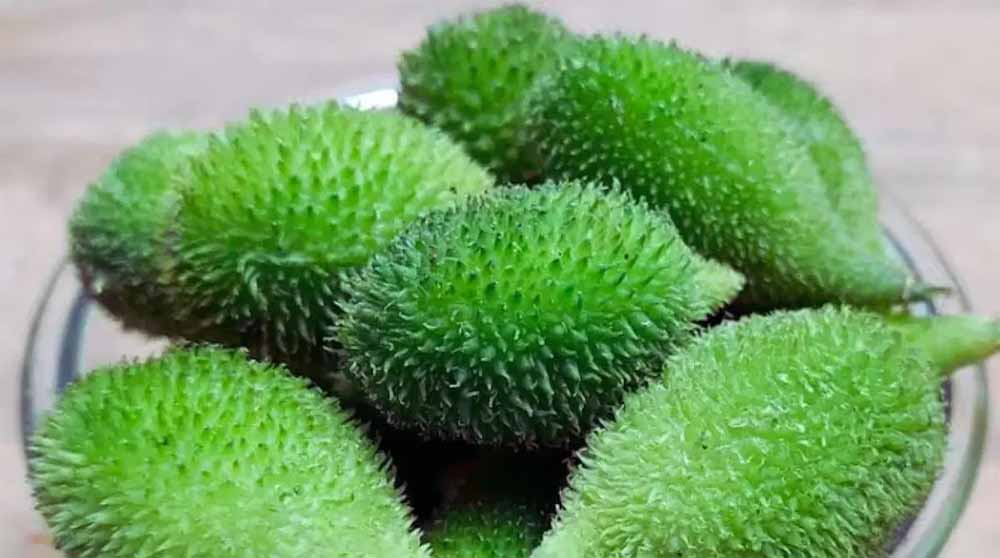 महंगी लेकिन असरदार: राजधानी के अलग-अलग बाजारों में खेखसी 400 रुपए प्रति किलो