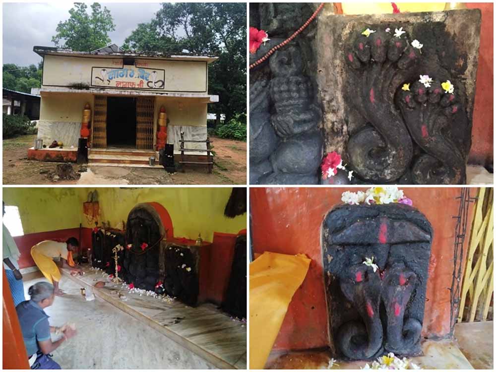 नाग पंचमी पर विशेष: 11वीं शताब्दी का चमत्कारी नाग मंदिर, जहां हर रोग पाता है राहत