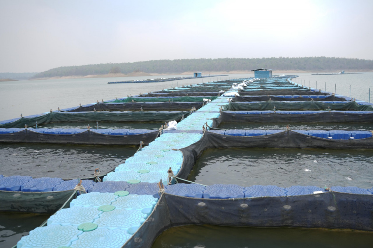 छत्तीसगढ़ में मछली पालन को मिलेगी नई उड़ान: हसदेव डुबान में बनेगा राज्य का पहला एक्वा पार्क, ग्रामीणों की आय में होगी बढ़ोतरी…