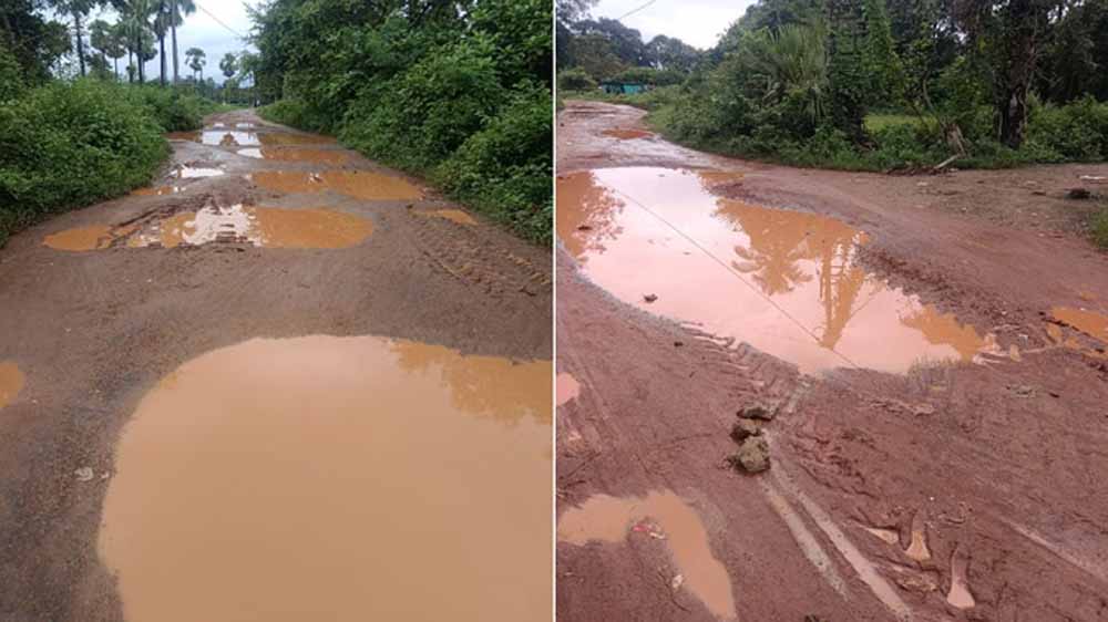 60 लाख की सड़क बनी दलदल: गड्ढों और झाड़ियों में समाई, ठेकेदार को नोटिस