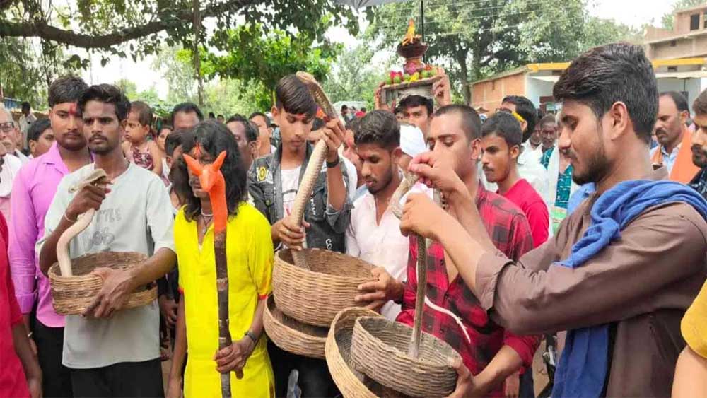 ऋषि पंचमी पर अनोखी परंपरा: सांपों की शोभायात्रा निकाली गई गांव में