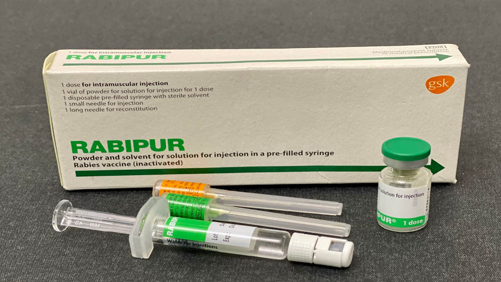 रायपुर : बस्तर संभाग में एंटी रेबीज वैक्सीन की पर्याप्त उपलब्धता