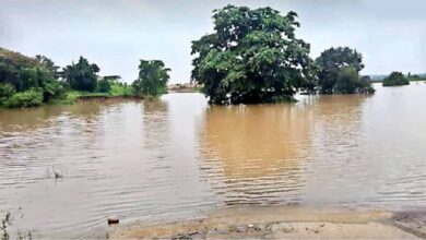 उफान पर गोदावरी: बीजापुर-हैदराबाद NH-163 पर यातायात ठप उफान पर गोदावरी: बीजापुर-हैदराबाद NH-163 पर यातायात ठप