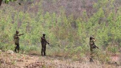 महाराष्ट्र-छत्तीसगढ़ बॉर्डर पर बड़ी कार्रवाई, मुठभेड़ में चार नक्सली ढेर