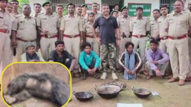 बिजली तार से भालू की मौत, पुलिस ने 5 आरोपियों को पकड़ा, 1 अब भी फरार