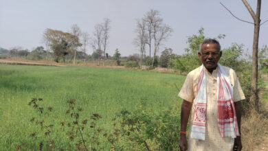 कम लागत से गेहूं की फसल में किसानों को मिलेगा ज्यादा मुनाफा….. कम लागत से गेहूं की फसल में किसानों को मिलेगा ज्यादा मुनाफा…..