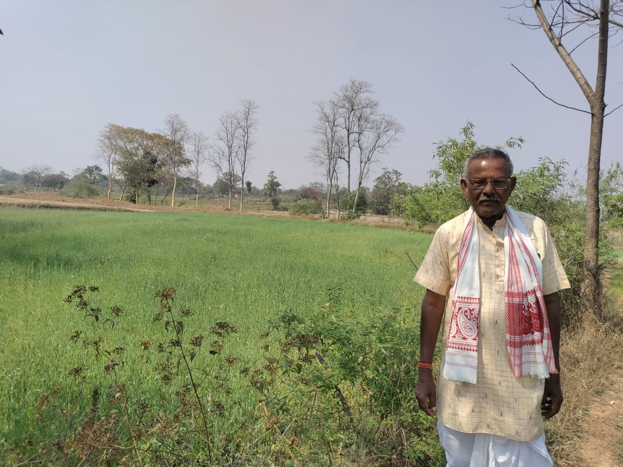 कम लागत से गेहूं की फसल में किसानों को मिलेगा ज्यादा मुनाफा…..