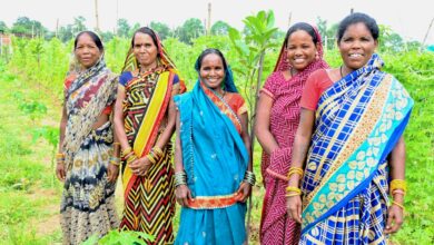 कमार महिलाओं ने बिहान समूह से जुड़कर बाड़ी व नर्सरी व्यवसाय से बढ़ाई आमदनी, 6 माह में हुई 30 हजार तक की कमाई…