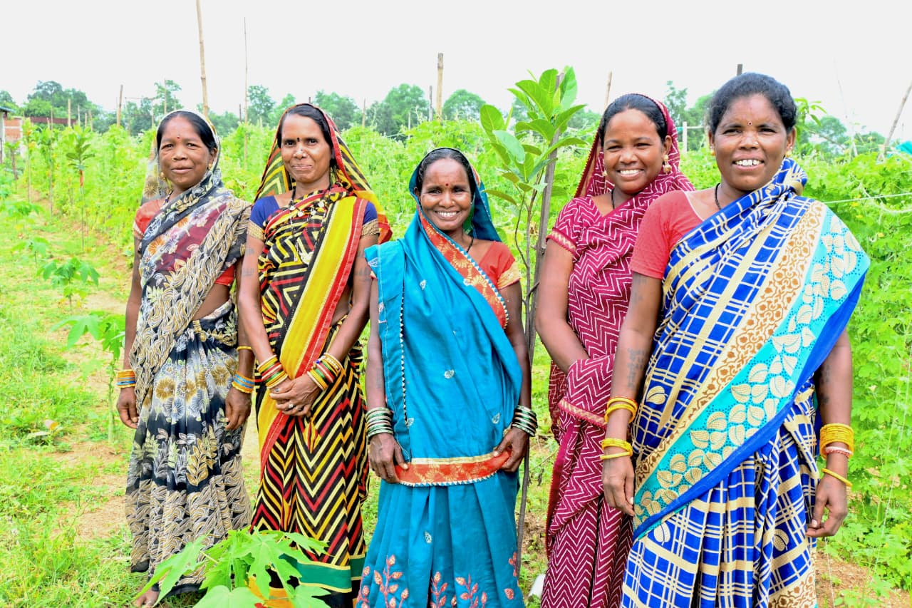 कमार महिलाओं ने बिहान समूह से जुड़कर बाड़ी व नर्सरी व्यवसाय से बढ़ाई आमदनी, 6 माह में हुई 30 हजार तक की कमाई…