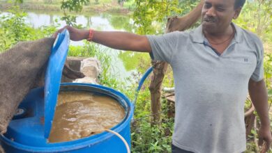 जैविक खेती से बढ़ रहा किसानों का आत्मविश्वास… जैविक खेती से बढ़ रहा किसानों का आत्मविश्वास…