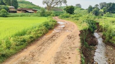 ‘जशपुर के दनगरी घाट तक पहुंचेगी सुगम सड़क, पर्यटन विकास को मिलेगी नई रफ्तार’….