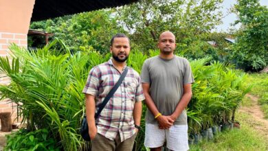 विशेष लेख : मिलाराबाद के किसान अंतर्यामी ऑर्गेनिक खेती अपनाकर समाज में मिसाल पेश की….