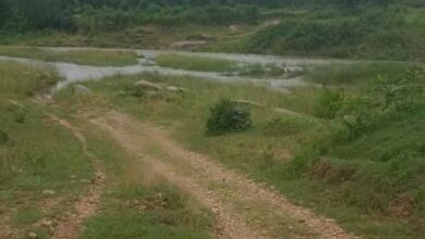 भालूमुंडा-खेजूरघाट मार्ग पर कोकिया नदी पर बनेगा 3 करोड़ 32 लाख की लागत से उच्च स्तरीय पुल….