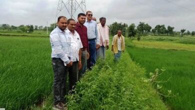 विक्रम टीसीआर : कम अवधि और कम पानी में ज्यादा उपज देने वाली धान की किस्म…
