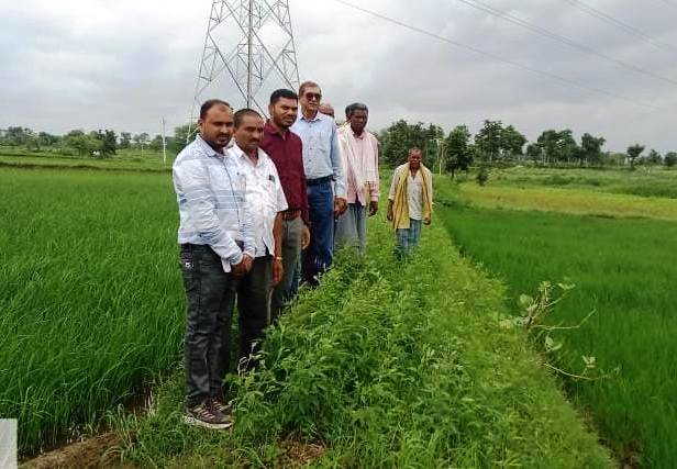 विक्रम टीसीआर : कम अवधि और कम पानी में ज्यादा उपज देने वाली धान की किस्म… विक्रम टीसीआर : कम अवधि और कम पानी में ज्यादा उपज देने वाली धान की किस्म…