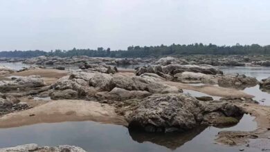 गायखुरी पत्थर की रंगोली: एक ऐसा इतिहास जो समय को थामकर रह गया!