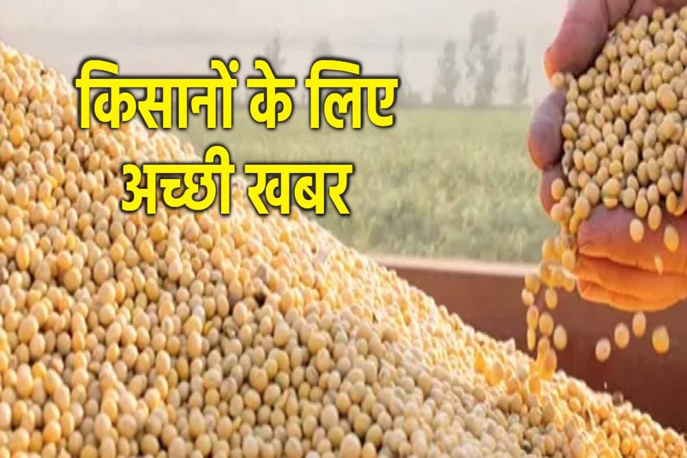मध्य प्रदेश भावांतर योजना में 14727 किसानों से 25999 टन सोयाबीन खरीदी, जनवरी तक जारी