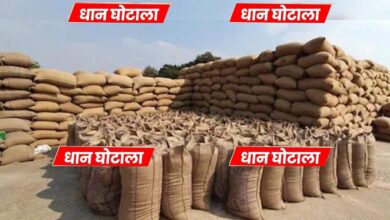 धान खरीदी घोटाले में MP सरकार को 43 करोड़ का नुकसान, अधिकारियों की संपत्ति से भरपाई होगी
