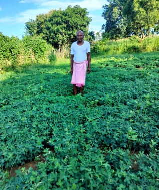 सौर सुजला योजना से सिंचाई सुविधा में हो रहा विस्तार: सोलर पम्प से किसान ले रहे दोहरी फसल का लाभ….