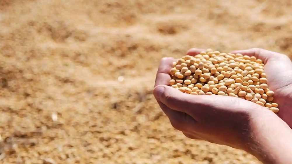 भावांतर योजना के लिए हेल्पलाइन कॉल सेंटर प्रारंभ