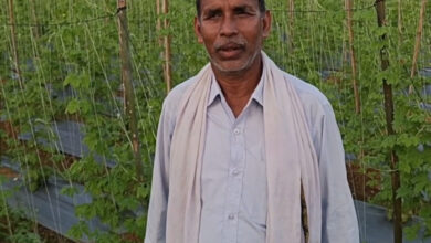 वैज्ञानिक पद्धति अपनाकर बड़ी कामयाबी हासिल की- नरेंद्र कुमार पटेल…. वैज्ञानिक पद्धति अपनाकर बड़ी कामयाबी हासिल की- नरेंद्र कुमार पटेल….