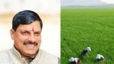 धनतेरस पर किसानों को बड़ा तोहफा! सरकार करेगी मुआवजे की धनवर्षा