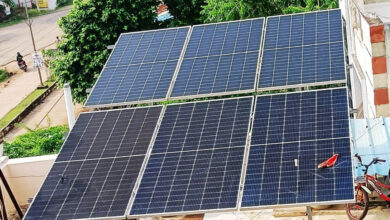 भारती सिंह बनीं ‘ऊर्जा उत्पादक’: सोलर रूफटॉप से घर बना मिनी पावरहाउस…..