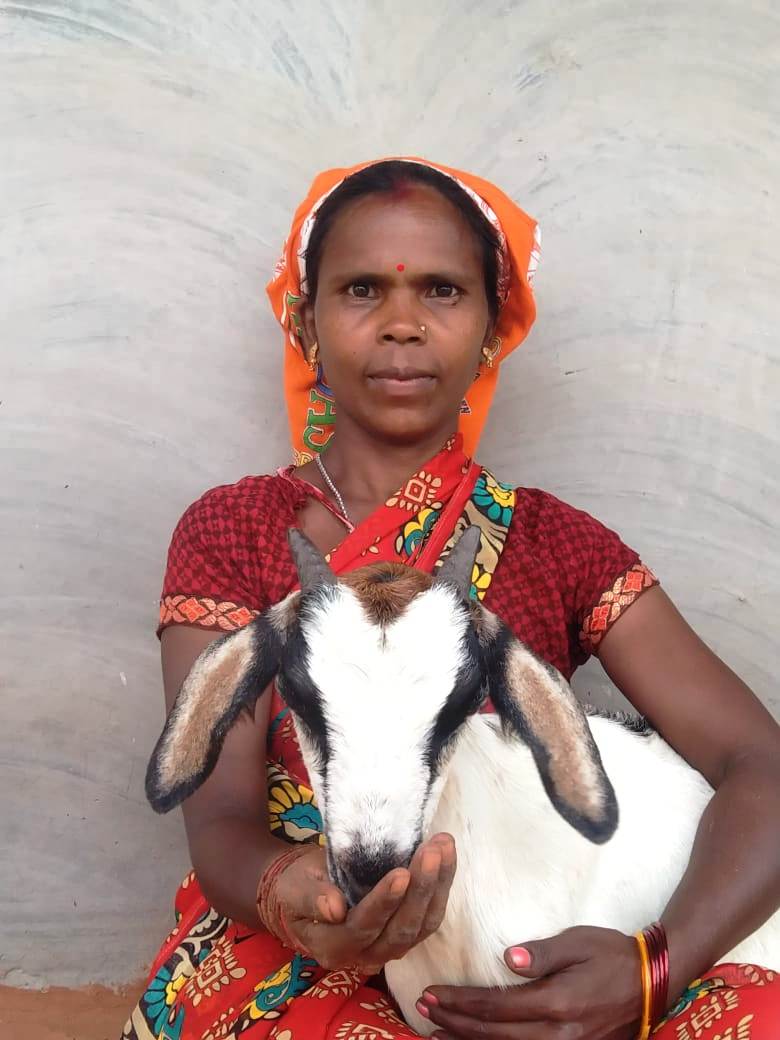 महतारी वंदन योजना से महिलाएं हो रहीं आत्मनिर्भर: श्रीमती शामपति ने योजना की राशि से शुरू किया बकरी पालन, परिवार की स्थिति में आया सुधार…..