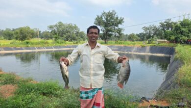 ग्रामीण अंचलों में मत्स्य पालन से आजीविका एवं आत्मनिर्भरता के खुल रहे नए अवसर…..