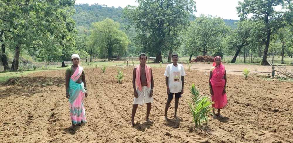 बंदूक की गूंज से फलों और फूलों की महक तक का सफर