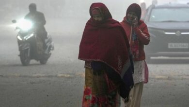 MP में शीतलहर की दस्तक: 23 जिलों में अलर्ट, 9 शहरों में पारा 10° से नीचे, राजगढ़ सबसे ठंडा