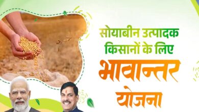 भावांतर योजना में आज बढ़कर 4130 रुपए मॉडल रेट जारी