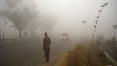 उत्तर-मध्य छत्तीसगढ़ में 2 दिन शीतलहर, अंबिकापुर में 10 साल में सबसे ज्यादा ठंड; 13 जिलों में यलो अलर्ट