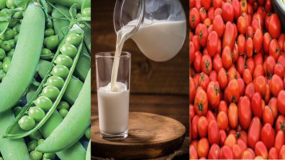 मध्य प्रदेश कृषि में अव्वल: टमाटर में पहला, मटर में दूसरा स्थान; दुग्ध उत्पादन 20% बढ़ाने का लक्ष्य