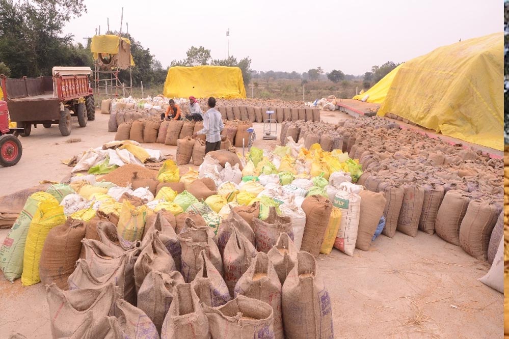 कोरिया : धान खरीदी केन्द्रों में समुचित व्यवस्था सुनिश्चित करें