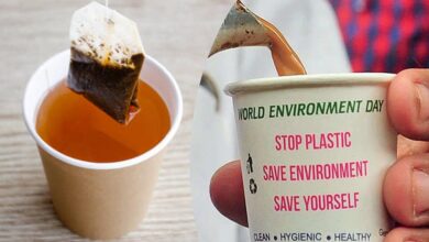 IIT खड़गपुर की रिसर्च: पेपर कप में चाय पीने से निकलते हैं 25 हजार माइक्रोप्लास्टिक कण, कैंसर का खतरा बढ़ा