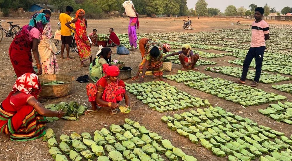 रायपुर : छत्तीसगढ़ राज्य निर्माण के 25 वर्षों की सफलता की कहानी, वनोपज, जल संरक्षण और ईको टूरिज्म से बढ़ी समृद्धि