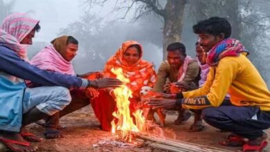 मध्यप्रदेश में मौसम का मिजाज बदला: ग्वालियर-चंबल में ठंड और कोहरा, 16 जिलों में बूंदाबांदी, भोपाल-इंदौर में धूप का मज़ा