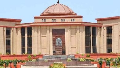 पानी भरे गड्ढों में हाथियों की मौत: हाईकोर्ट ने जताई नाराजगी, सरकार से मांगा स्पष्टीकरण