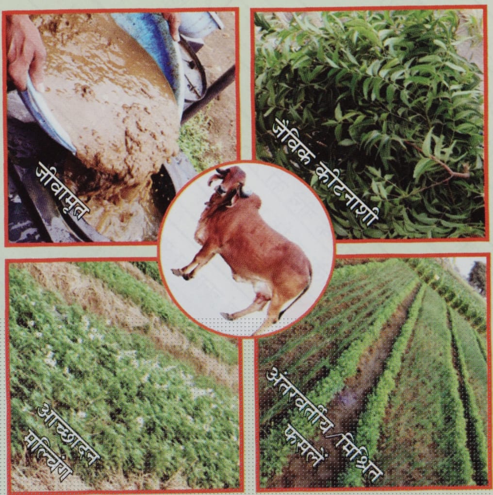 कृषि विश्वविद्यालय में प्राकृतिक खेती पर राष्ट्रीय संगोष्ठी कल: राज्यपाल रमेन डेका संगोष्ठी का शुभारंभ करेंगे, मुख्यमंत्री साय करेंगे अध्यक्षता….