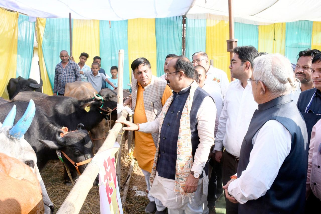 पशु-पक्षी जीवन का आधार, किसान पशुपालन कर बढ़ाएं अपनी कमाई : अरुण साव….