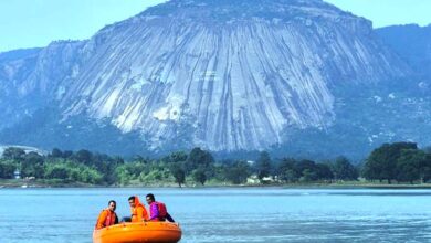 जशपुर जम्बूरी 2025: प्रकृति, संस्कृति और साहसिक रोमांच का अनोखा संगम…